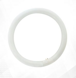 [GM00167] Tubo circular 22 watios 6400K (20 Unidades por caja)